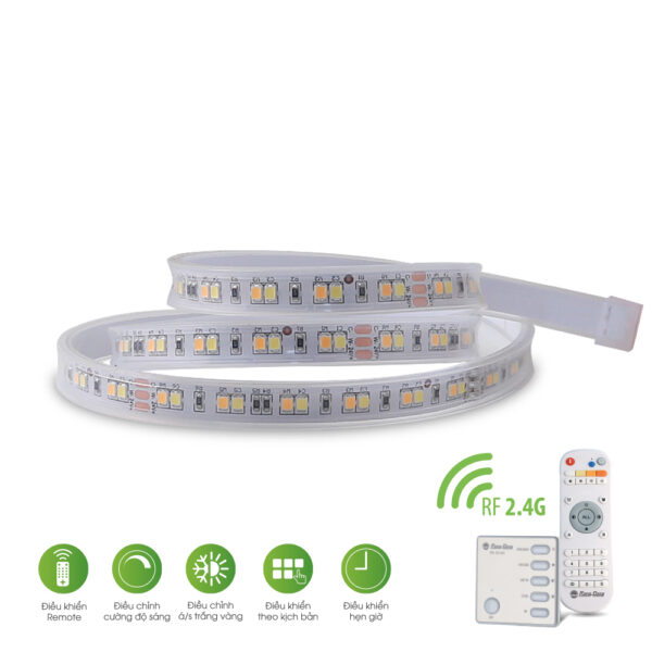 Đèn LED dây Rạng Đông DIM+CCT+RF